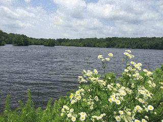 Greene Sullivan lake