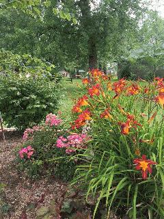 Red flowers in the park